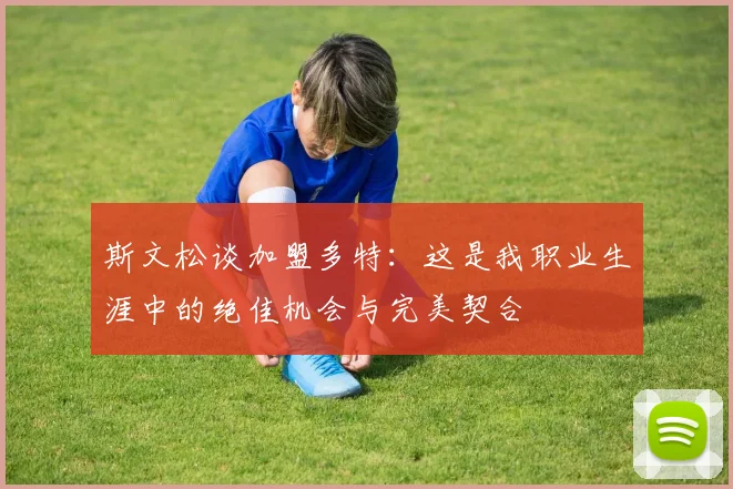 斯文松谈加盟多特：这是我职业生涯中的绝佳机会与完美契合